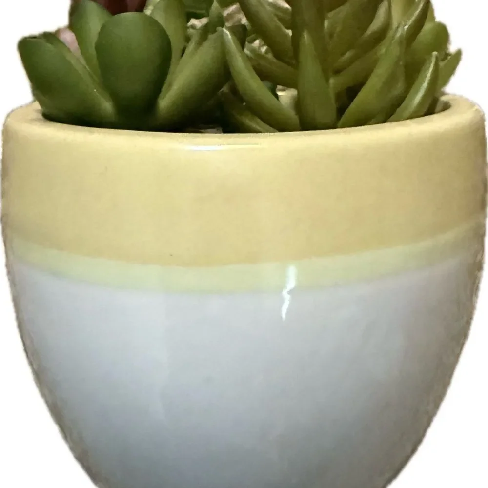 Faux Hanging Cactus Plant Wall Decor Green White Yellow